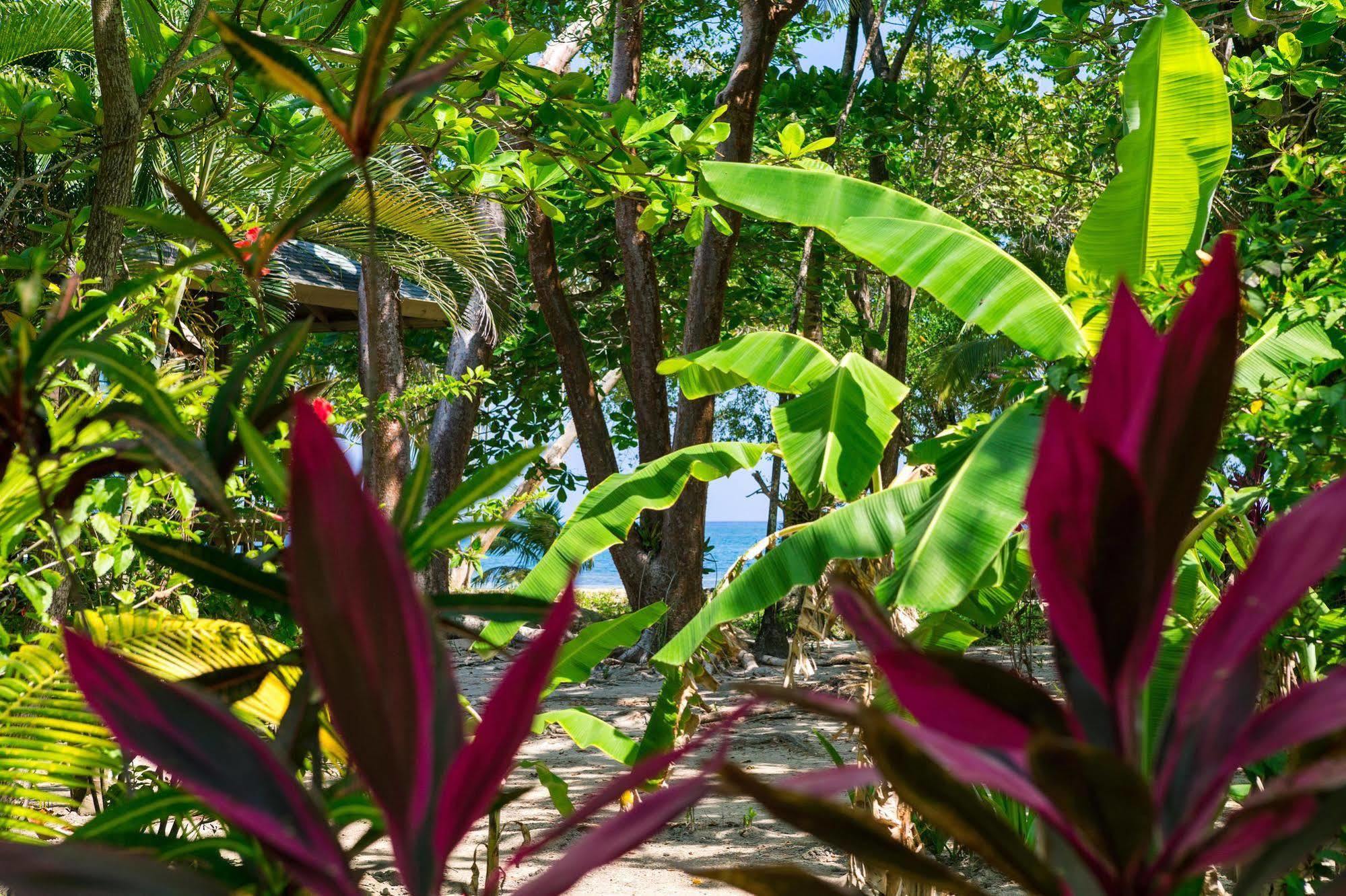 Casa Flores Palmetto Bay Esterno foto