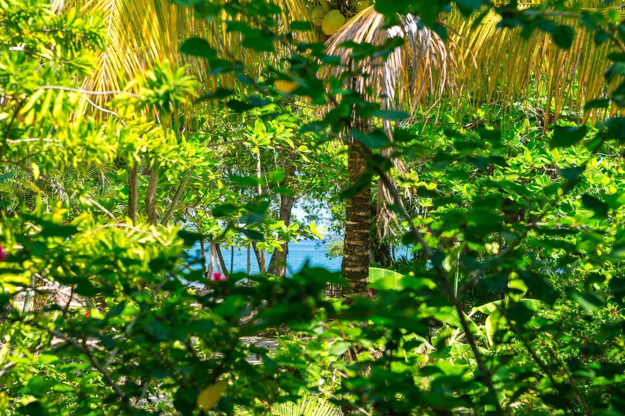Casa Flores Palmetto Bay Esterno foto