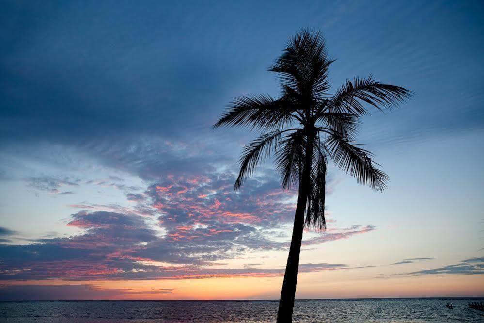 Casa Flores Palmetto Bay Esterno foto
